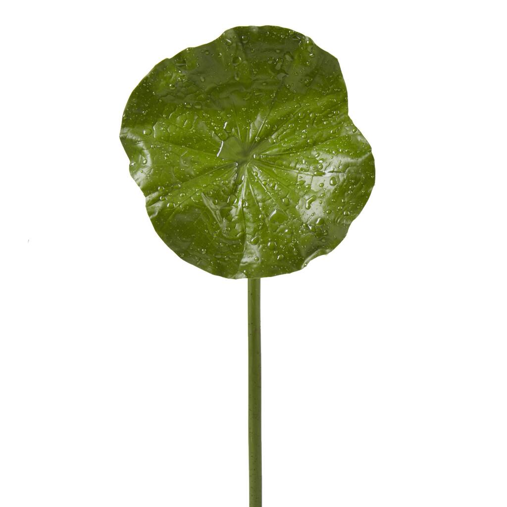 10181709.jpg img